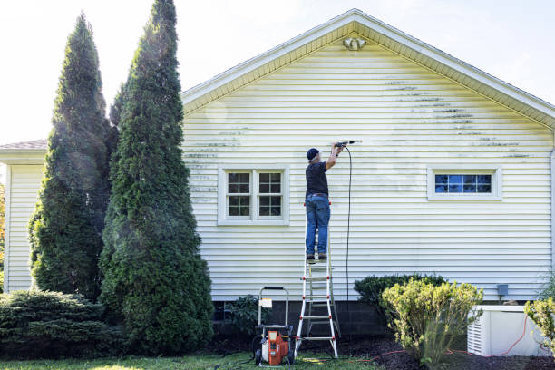 Best Fence Pressure Washing  in Anamosa, IA