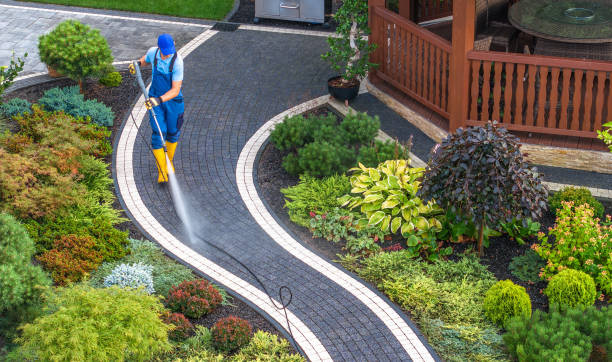 Best Power Washing Near Me  in Anamosa, IA
