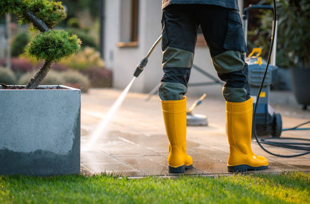Best Pressure Washing Company Near Me  in Anamosa, IA
